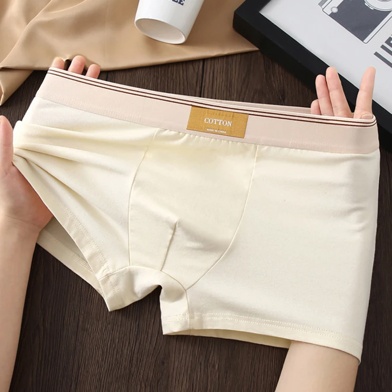 3 個男性下着綿ボクサーショーツ Hombre パンティー男 - Boyshort Underwear のレビューと価格
